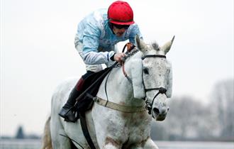 Ascot Racecourse November Racing Weekend