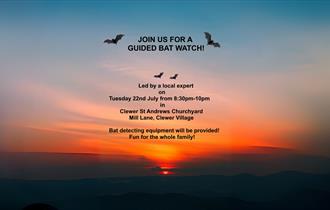 Guided Bat Watch Flyer