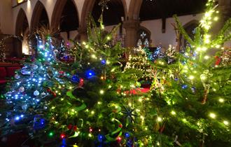 St Luke’s Christmas Tree Festival