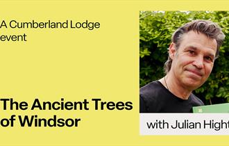 The Ancient Trees of Windsor, with a picture of Julian Hight
