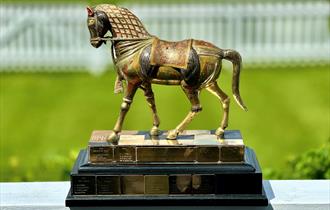 Jaipur Trophy