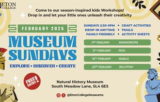 February Activities | Eton Natural History Museum