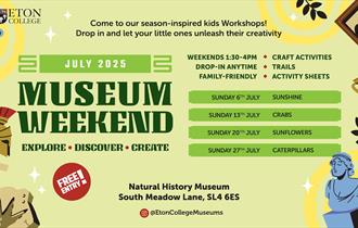 July Activities | Eton Natural History Museum