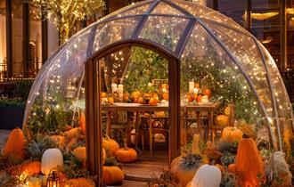 Pumpkin Pavilion Pod