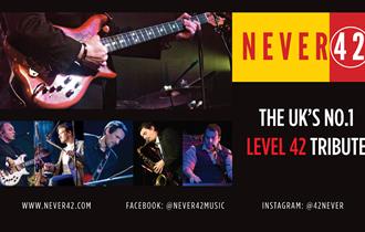 Never 42 graphic
