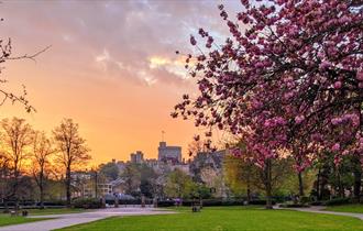 Alexandra Gardens in spring. Image courtesy Windsor & Eton PhotoArt.