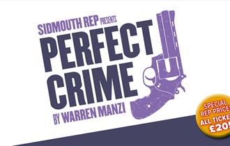 Perfect Crime