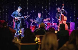 The Pete Roth Trio - Band playing for audience