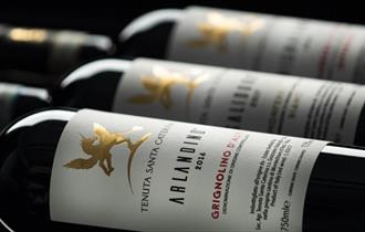 Tenuta Santa Caterina wine bottles