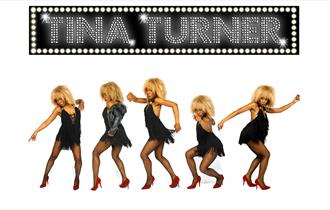 Tina Turner graphic, dancing