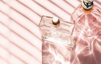 The Fragrance Shop
