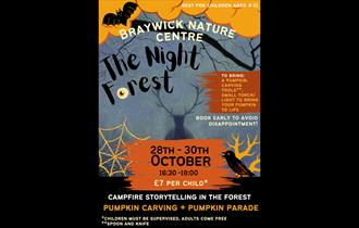 The Night Forest poster - BNC