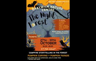 The Night Forest poster - BNC