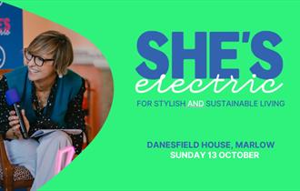 She's Electric Graphic, with picture of speaker and details