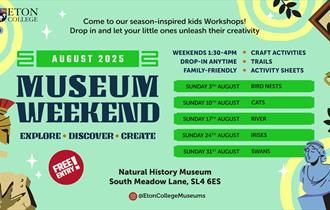 August Activities | Eton Natural History Museum