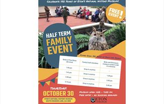 Half term family event | Flying High: 150 Years of Birds and Beaks