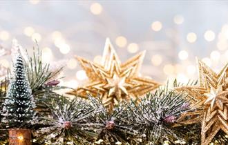 Christmas Tree Festival