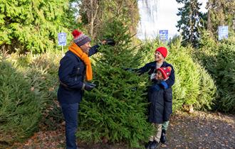 Family selecting a Christmas tree