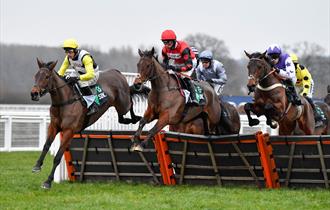 Clarence House Chase Raceday at Ascot Racecourse