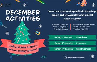 December Activities | Eton Natural History Museum