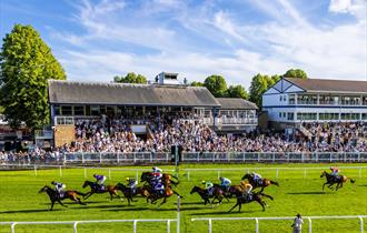 Royal Windsor Racecourse