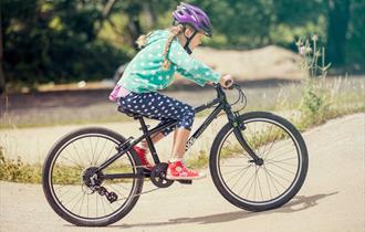 Pedal to the Park