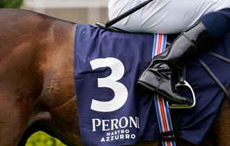 Peroni Nastro Azzurro Victoria Cup Raceday