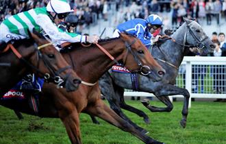Racing at Ascot Racecourse: Autumn Racing Weekend