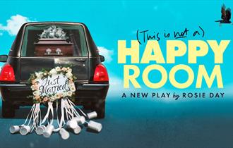 Poster for (This Is Not A) Happy Room