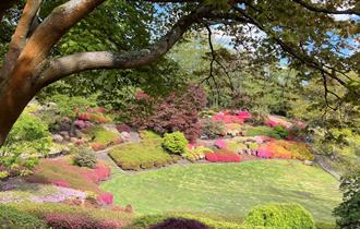 The Punchbowl, The Valley Gardens