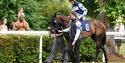 Horse and jockey in the parade ring watched by family