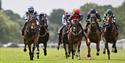 Pack of horses racing down the track