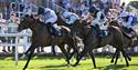 Horses racing past the crowd