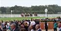 Dubai Duty Free Shergar Cup at Ascot Racecourse