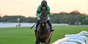 Horse racing by the rail at sunset