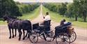 Bespoke Visit Windsor Itinerary - Windsor Carriages