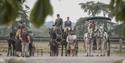 Windsor Carriages - Large Scale Events
