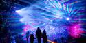 Windsor Great Park Illuminated