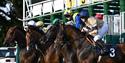 Horses burst out of the starting gate