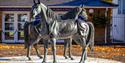 Royal Windsor Racecourse entrance