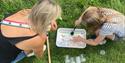 Minibeast Safari, woman and child searching for bugs