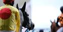 Racing at Ascot Racecourse: Autumn Racing Weekend