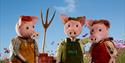 3 little pigs puppets