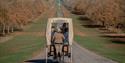 Windsor Carriages