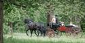 Guided Estate Drive - Windsor Carriages