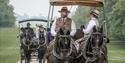 Windsor Carriages - Two carriages on The Long Walk
