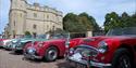 Austin Healey car display
