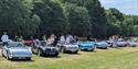 Austin Healey car display