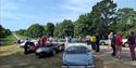 Austin Healey car display