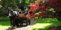 Ascot Carriages in Windsor Great Park